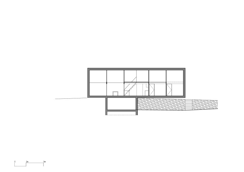 longitudinal section