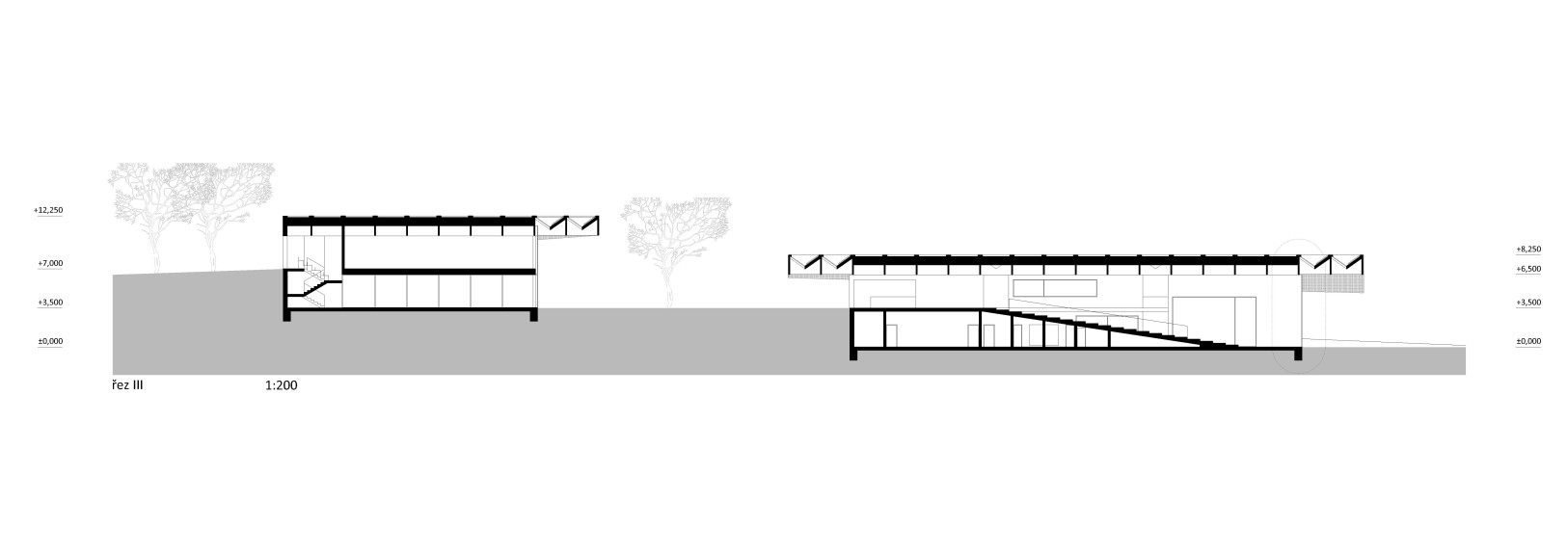 longitudinal section