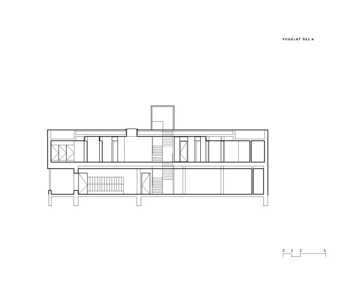 longitudinal section